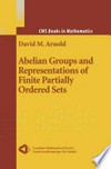 Abelian Groups and Representations of Finite Partially Ordered Sets