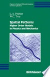 Spatial Patterns: Higher Order Models in Physics and Mechanics 