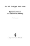 Dynamical Issues in Combustion Theory