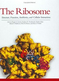 The ribosome: structure, function, antibiotics, and cellular interactions