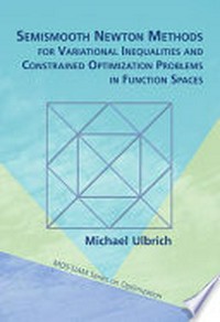 Semismooth Newton methods for variational inequalities and constrained optimization problems in function spaces