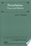 Perturbations: theory and methods