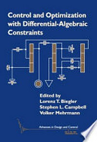 Control and Optimization with Differential-Algebraic Constraints