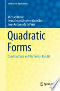 Quadratic Forms: Combinatorics and Numerical Results 