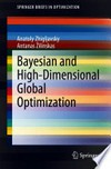 Bayesian and High-Dimensional Global Optimization