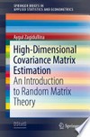 High-Dimensional Covariance Matrix Estimation: An Introduction to Random Matrix Theory /