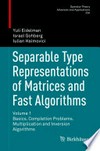Separable Type Representations of Matrices and Fast Algorithms: Volume 1  : Basics. Completion Problems. Multiplication and Inversion Algorithms 