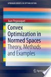 Convex Optimization in Normed Spaces: Theory, Methods and Examples /