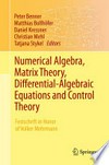Numerical Algebra, Matrix Theory, Differential-Algebraic Equations and Control Theory: Festschrift in Honor of Volker Mehrmann 
