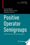 Positive Operator Semigroups: From Finite to Infinite Dimensions /