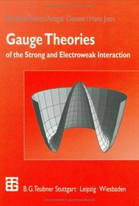 Gauge theories of the strong and electroweak interaction