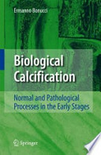 Biological Calcification: Normal and Pathological Processes in the Early Stages 