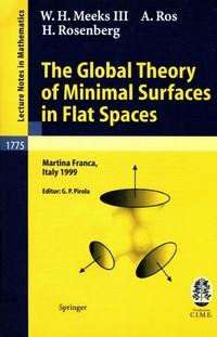 The global theory of minimal surfaces in flat spaces: lectures given at the 2nd Session of the Centro Internazionale Matematico Estivo (C.I.M.E.) held in Martina Franca, Italy, June 7-14, 1999 