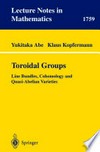 Toroidal Groups: Line Bundles, Cohomology and Quasi-Abelian Varieties /