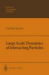 Large scale dynamics of interacting particles