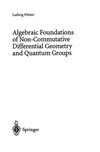 Algebraic foundations of non-commutative differential geometry and quantum groups