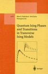 Quantum Ising phases and transitions in transverse Ising models