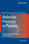 Molecular Processes in Plasmas: Collisions of Charged Particles with Molecules