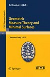 Geometric Measure Theory and Minimal Surfaces