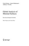 Global analysis of minimal surfaces
