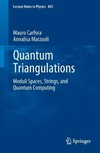 Quantum triangulations: moduli spaces, strings, and quantum computing