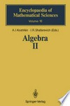 Algebra II: Noncommutative Rings Identities 