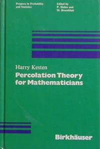 Percolation theory for mathematicians