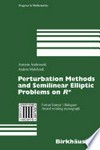 Perturbation methods and semilinear elliptic problems on Rn