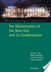 The Mathematics of the Bose Gas and its Condensation