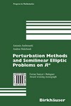 Perturbation Methods and Semilinear Elliptic Problems on Rn