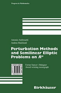 Perturbation Methods and Semilinear Elliptic Problems on Rn