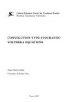 Convolution type stochastic Volterra equations