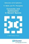 Convexity and optimization in Banach spaces