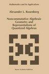 Noncommutative algebraic geometry and representations of quantized algebras 