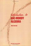 Introduction to Kac-Moody algebra