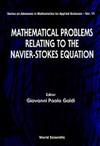 Mathematical problems relating to the Navier-Stokes equation