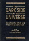 Proceedings of the Second Workshop on the Dark Side of the Universe: experimental efforts and theoretical framework, Roma, Italy, 13-14 November, 1995 