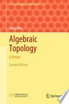Algebraic Topology: A Primer